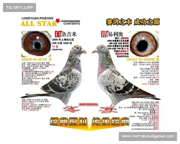 沃尔科夫四连胜证明实力 强烈要求冠军战机会